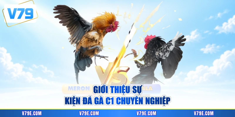 Giới thiệu sự kiện đá gà C1 chuyên nghiệp