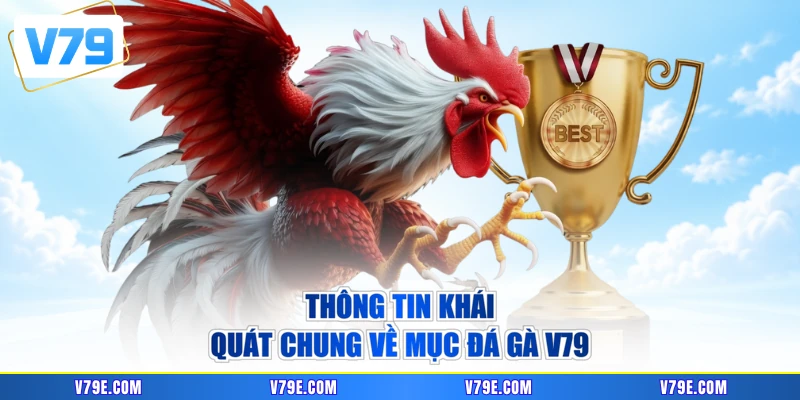 Thông tin khái quát chung về mục đá gà V79